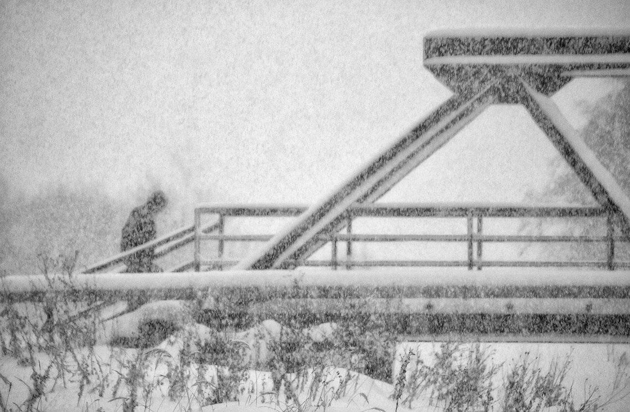 , Владимир Перепечаев