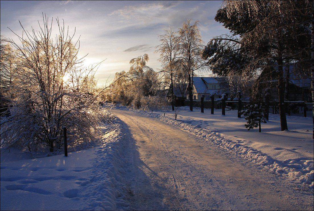 , Тарасов Алексей