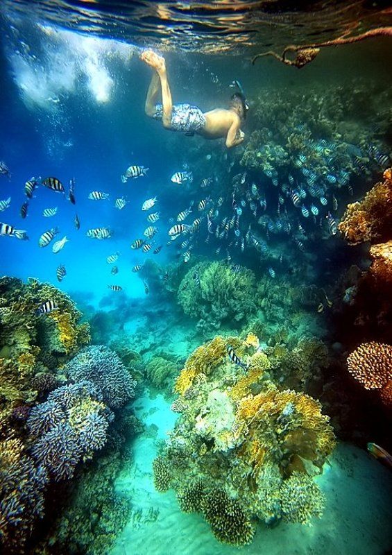 . фото превью