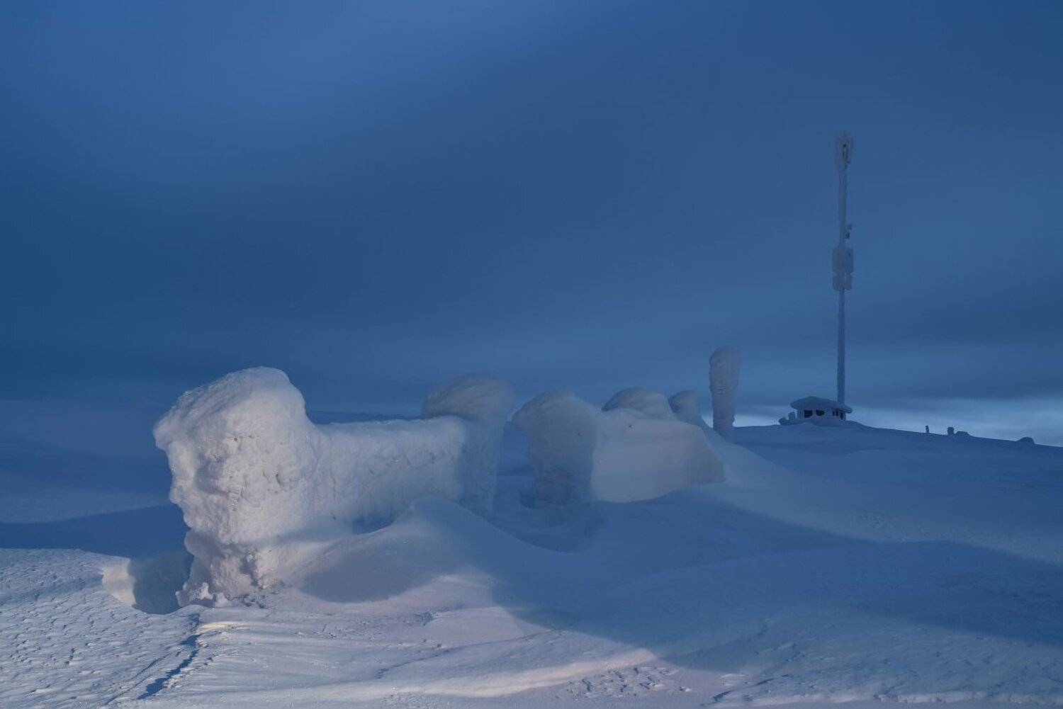 , Максим Евдокимов