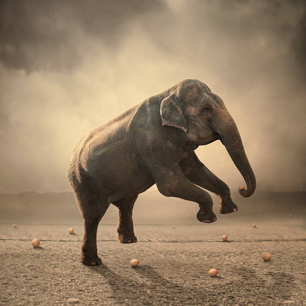, Caras Ionut