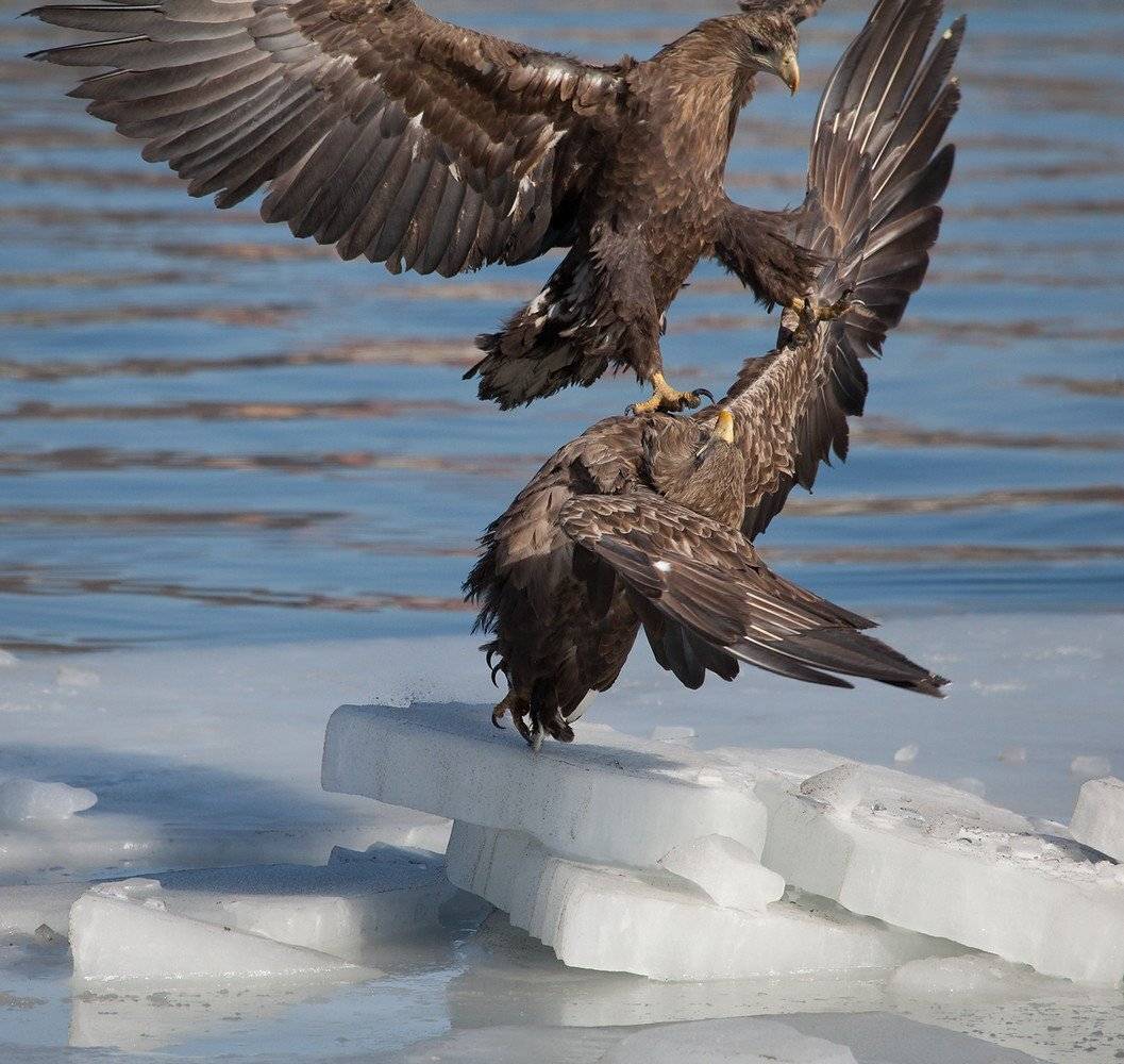, Евгений Слободской