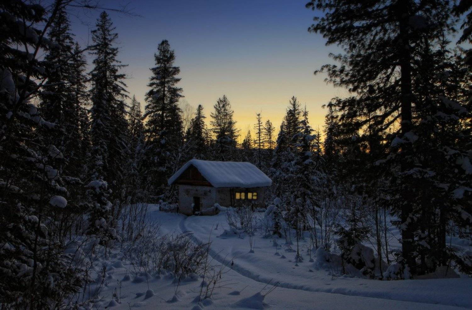 , Галина Хвостенко