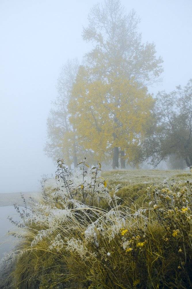 , Николай Морский