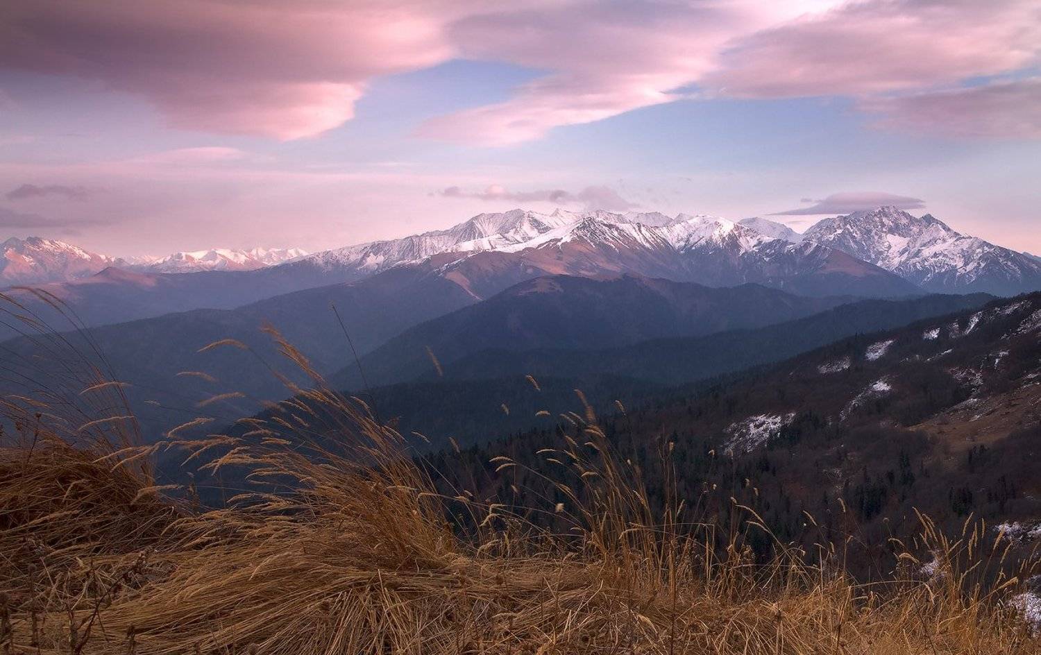 , Ирина Заграничная