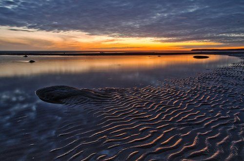 Золотая рыбка Беломорья...