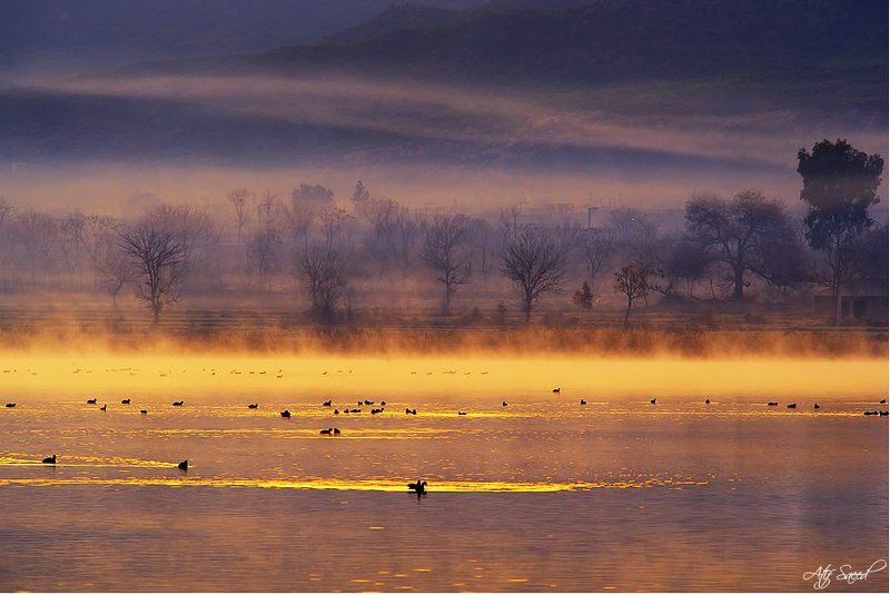 Uchhali Lake, Soan Sakaser, Salt Range, Pakistan. фото превью