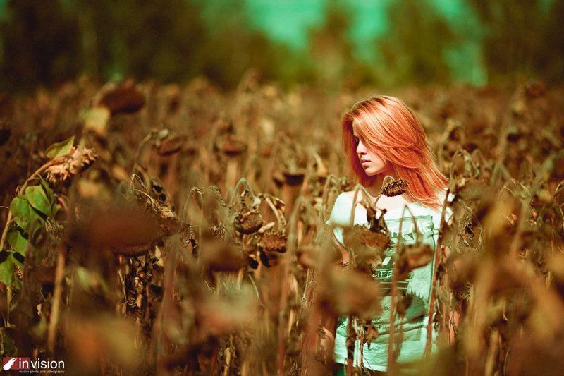 там где мечты фото превью