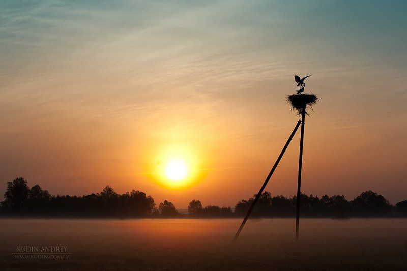 Любовь и аисты фото превью