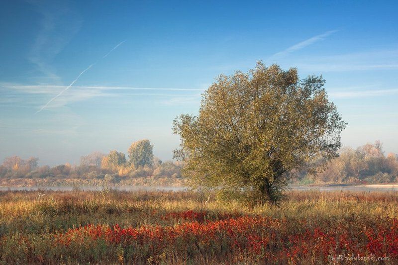 wisła by the river фото превью