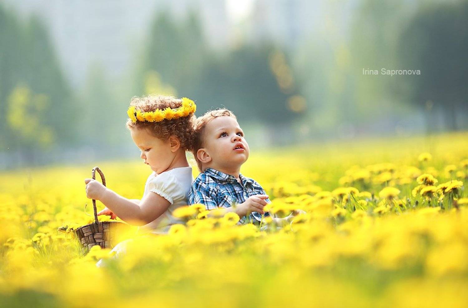 , Сапронова Ирина