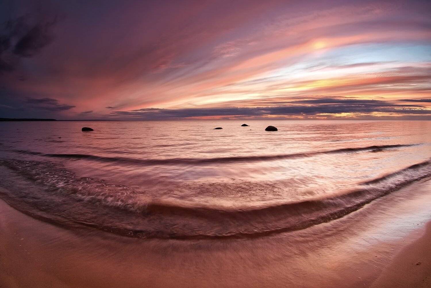 , Максим Евдокимов