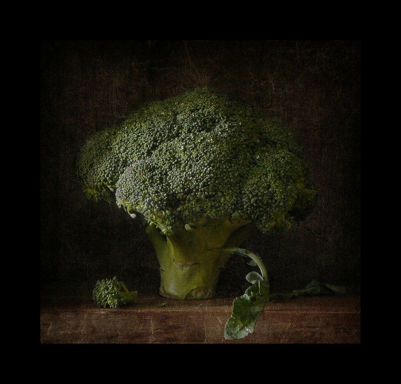 Такое дерево фото превью