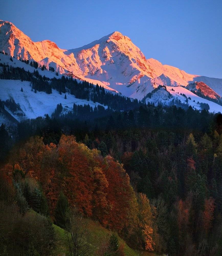 , Матвеев Николай