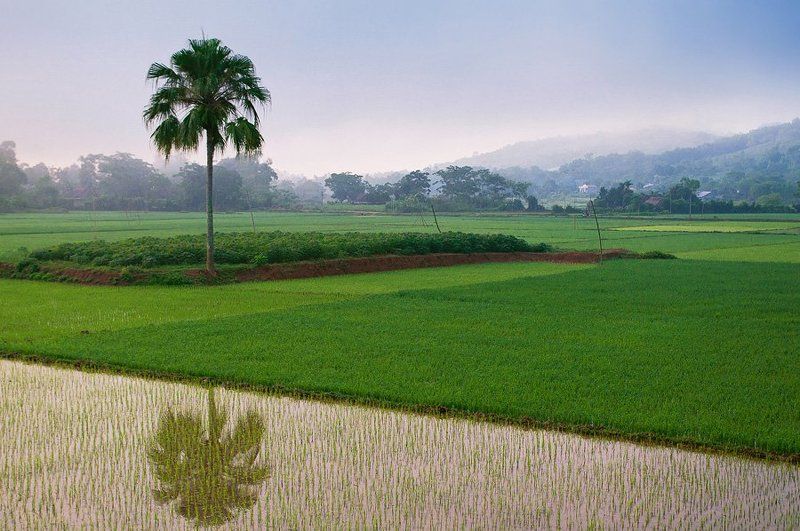 Morning фото превью