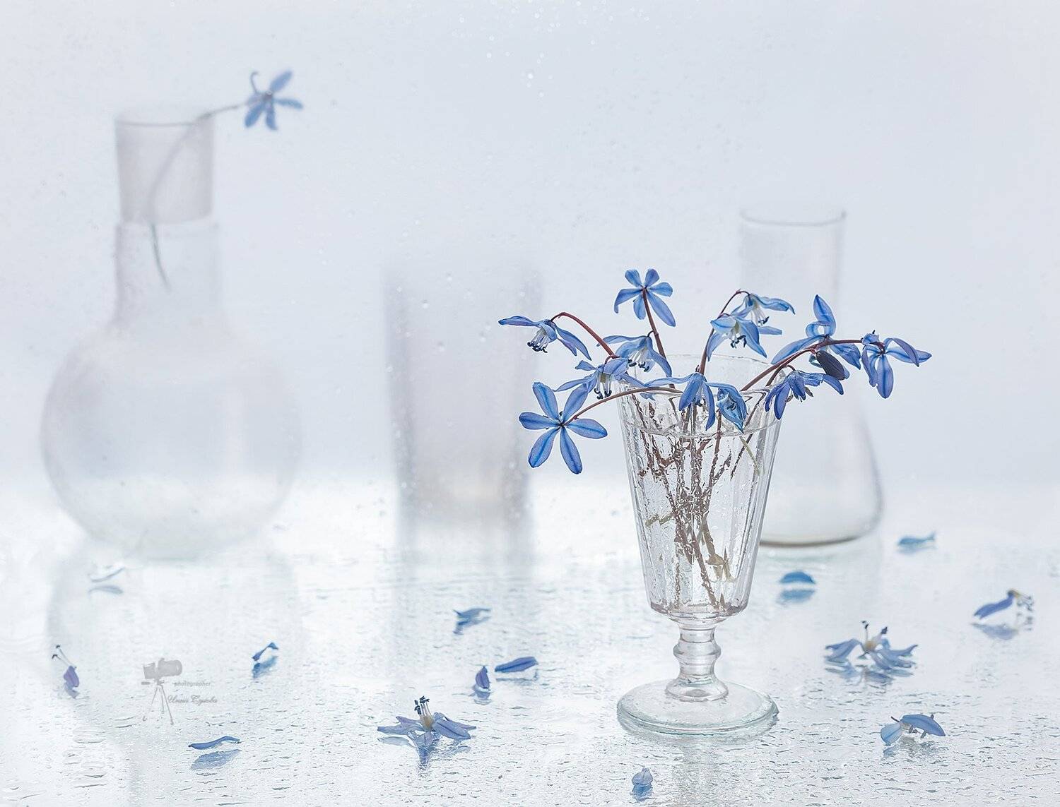 , Инна Сухова