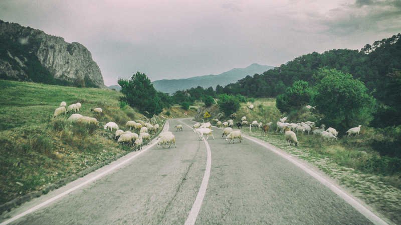 Freedom and liberty фото превью