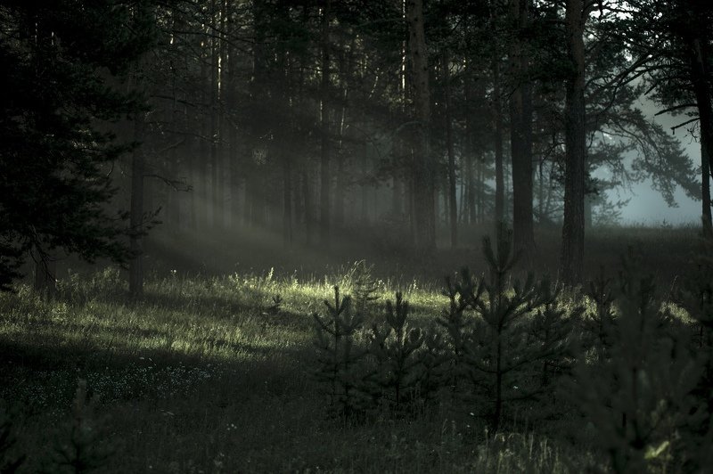 ... фото превью