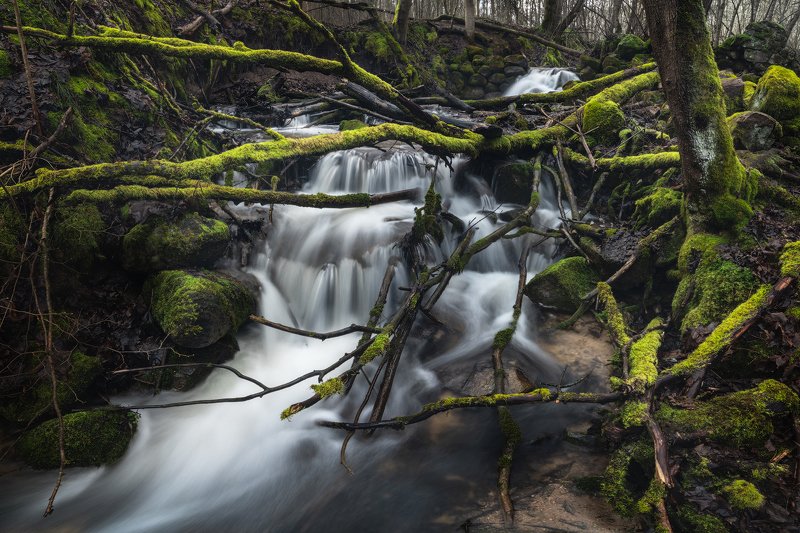 изборск, россия, ручей, зима, река Мельничий ручей. фото превью