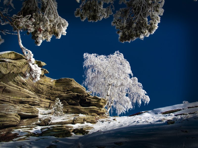 карагай Карагай фото превью