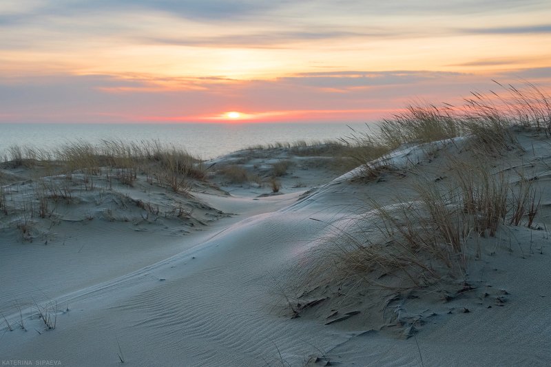 куршская коса, рассвет, пейзаж, природа Восход над Куршским заливом фото превью