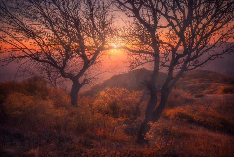 Autumn Harmony фото превью