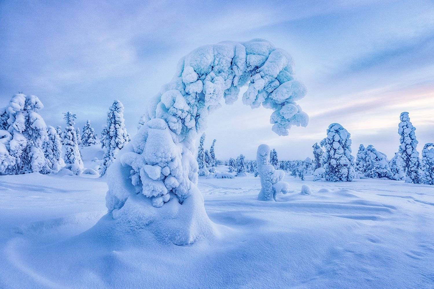 заполярье, гора, снег, ели, волосная, Владимир Липецких