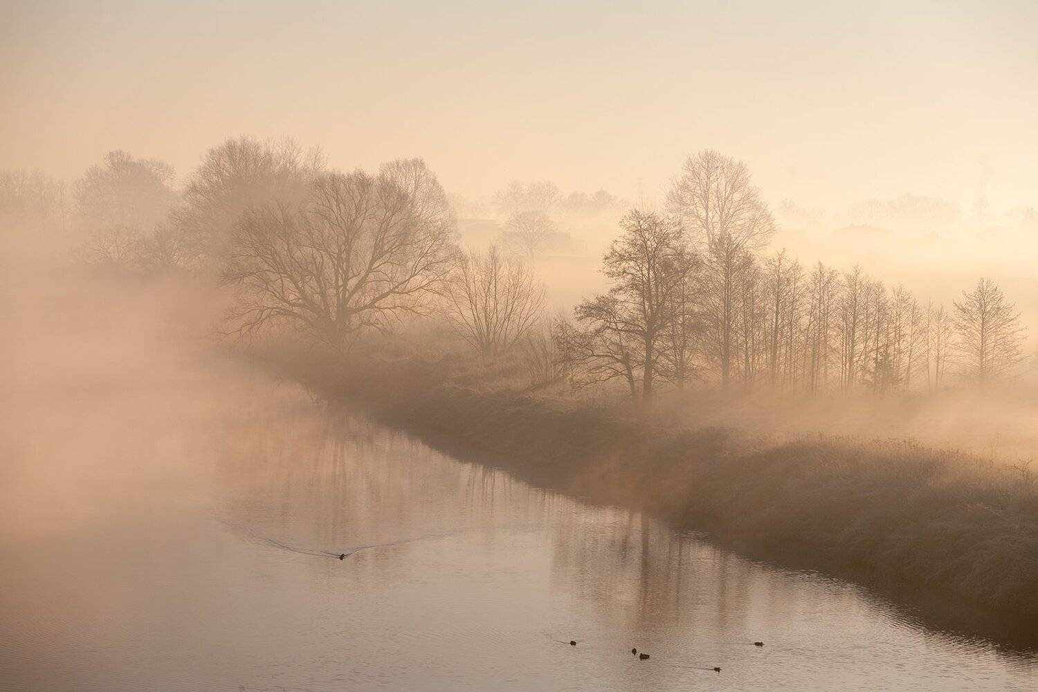 #sunrise#river#riverside#poland#trip#adventure#outdoors, Jaroslaw Frycz