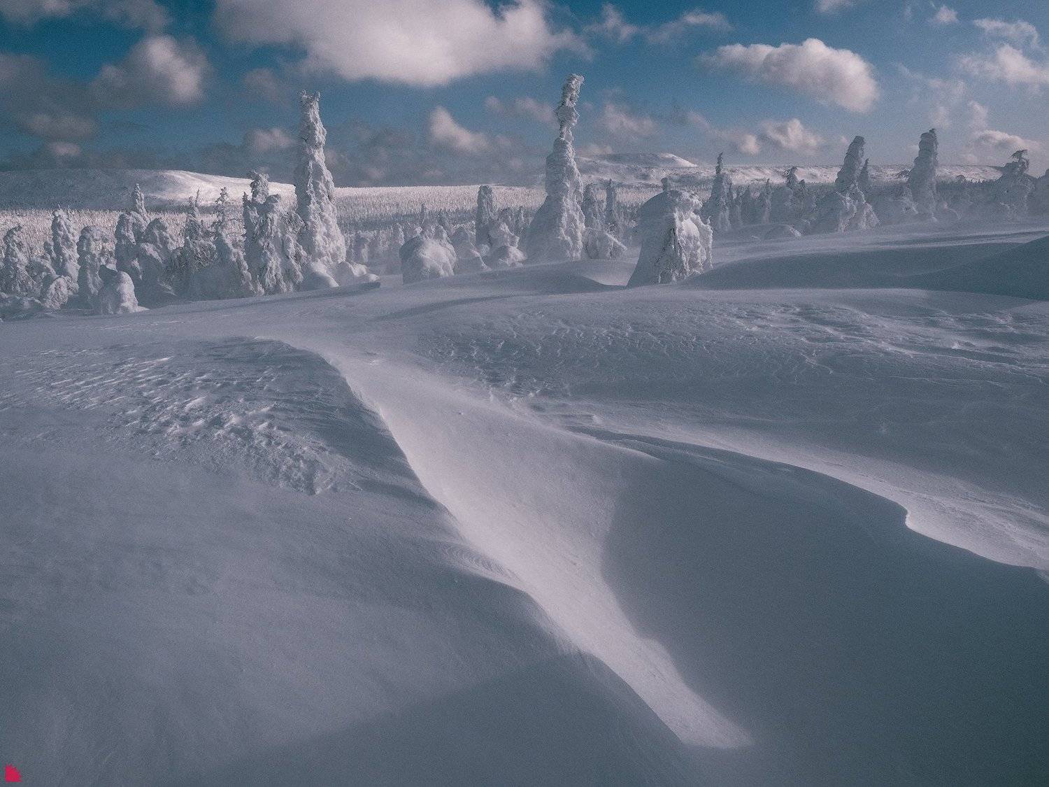 , Осипов Ёжъ Александр