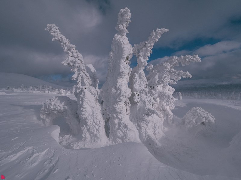Снежная корона фото превью