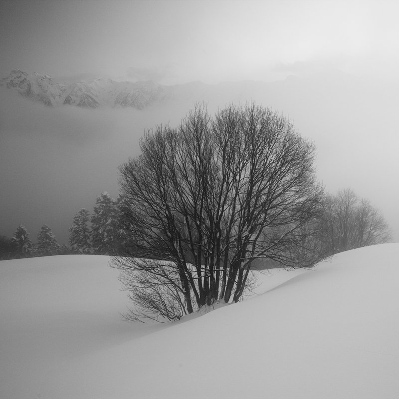 Красная поляна фото превью