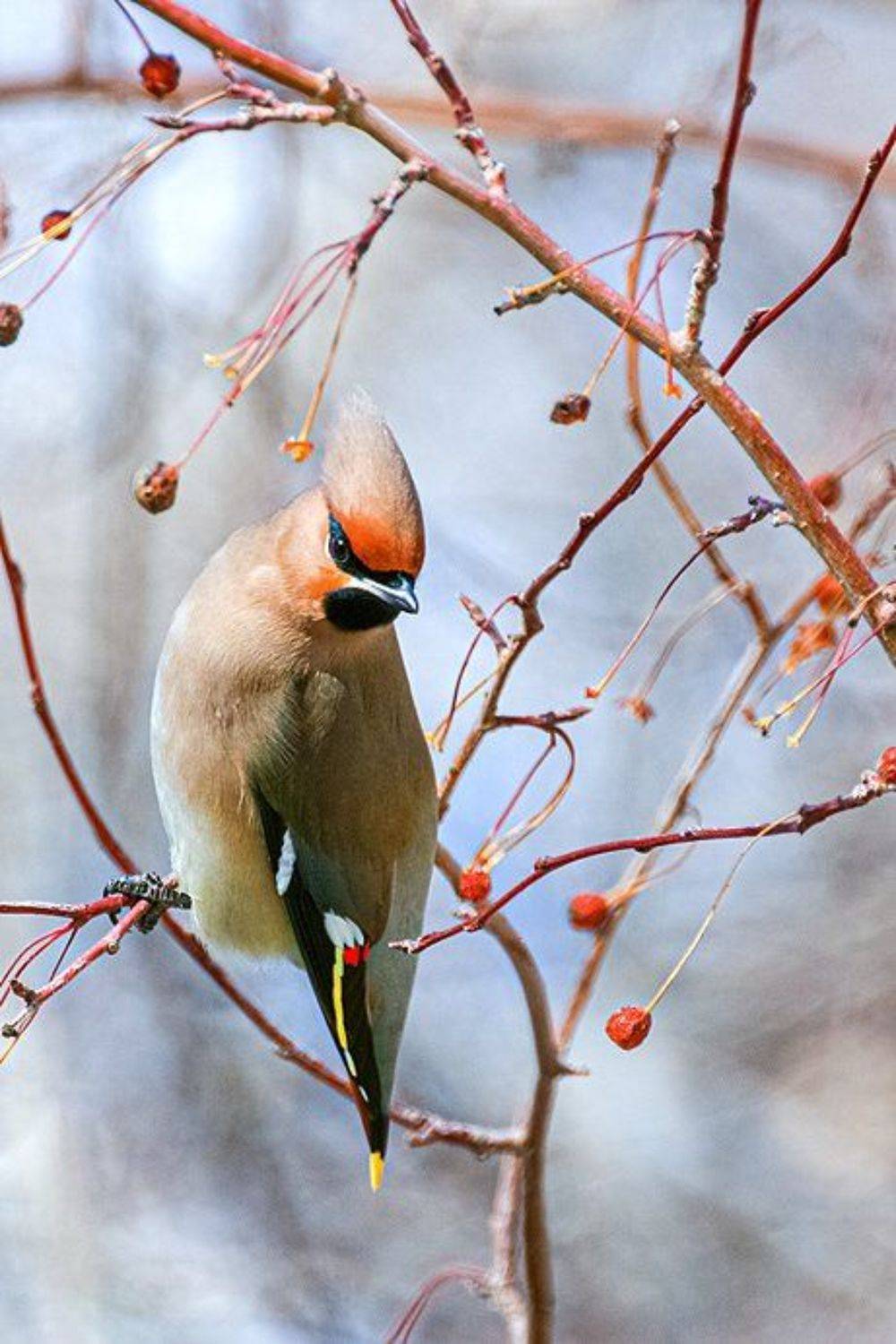 южный урал,оренбургская область, орск, новотроицк,башкирия, башкиртостан, Качурин Алексей