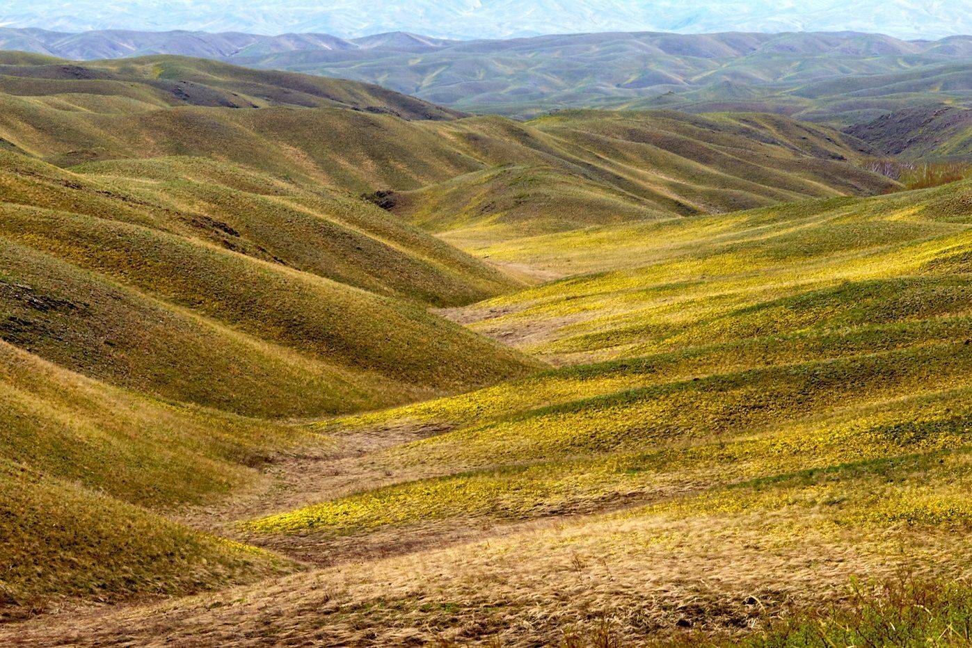 южный урал,оренбургская область, орск, новотроицк,башкирия, башкертостан, Качурин Алексей