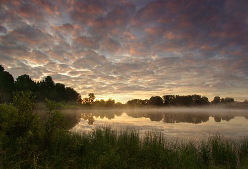 Утро летнее
