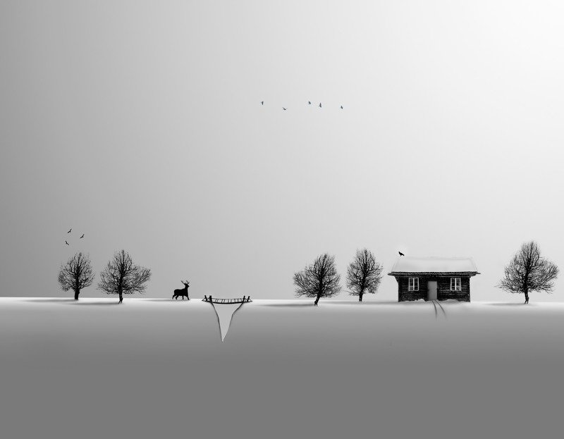 #35photo #surrealart#ps_fantasy#art_minimal #bnw_dream #photography#minimalism#conceptual#fineart #instagram#iranfeature#bnwminimalismmag#art_digital #ir_photographer#iran #photographize#blackandwhite#bnw_greatshots  #surreal#hadimalijani#art#fantastic_ea  фото превью