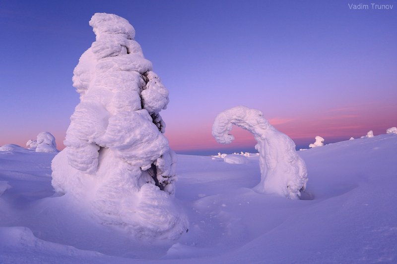 кольский, север, заполярье Жители сопок заполярья фото превью