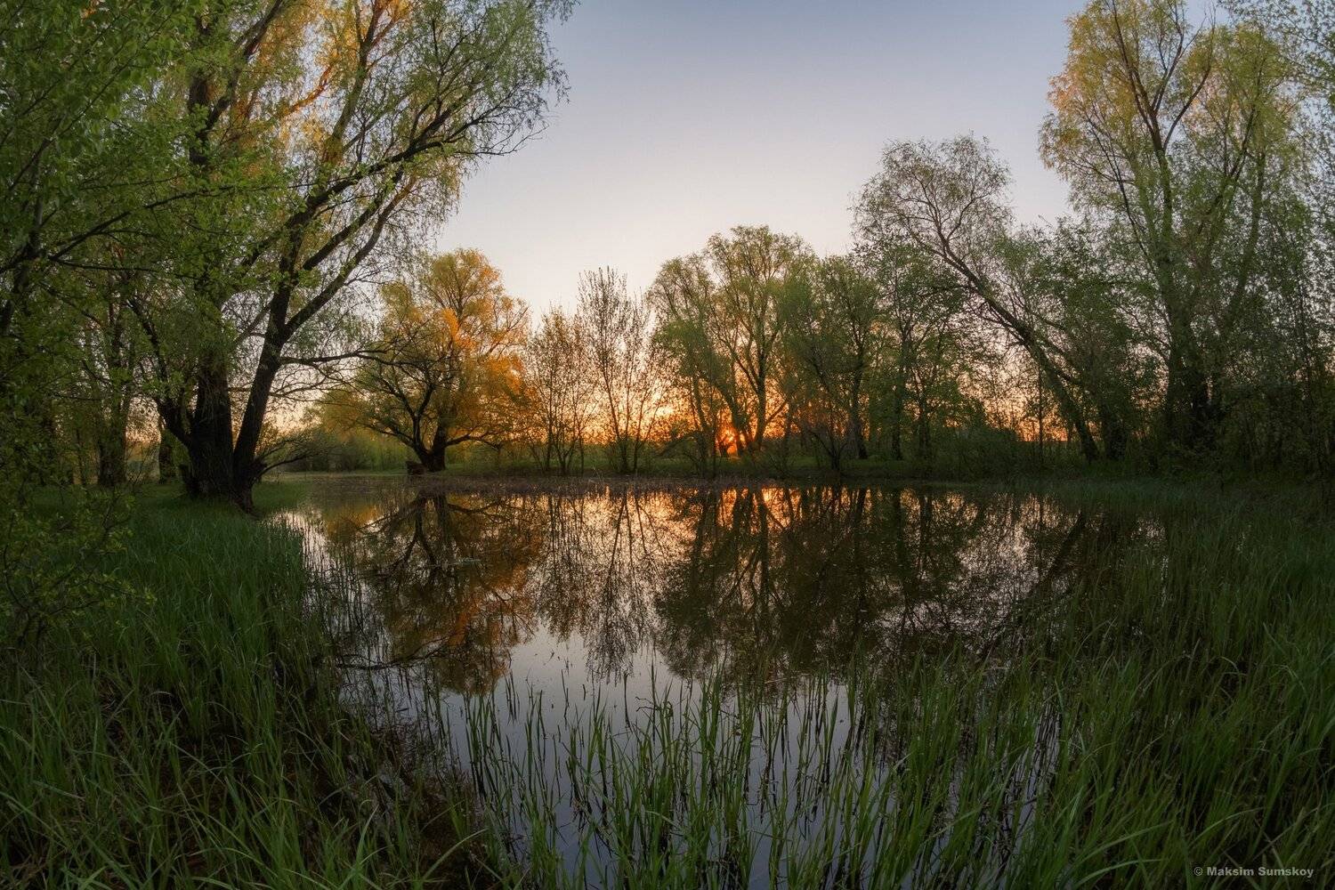 природа,утро,весна,тишина, Максим Сумской