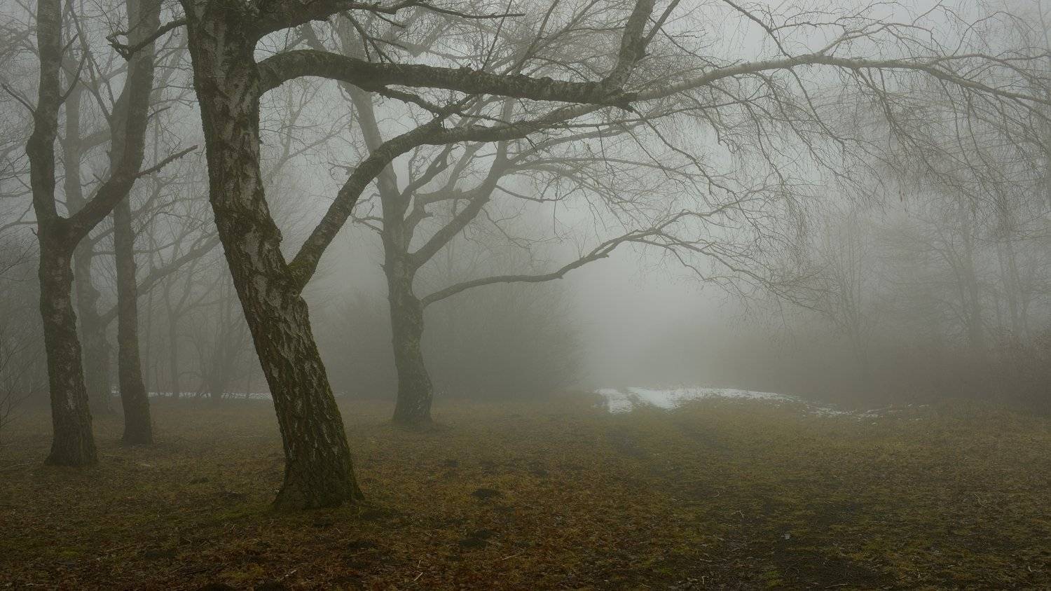 зима утро туман, Александр Жарников