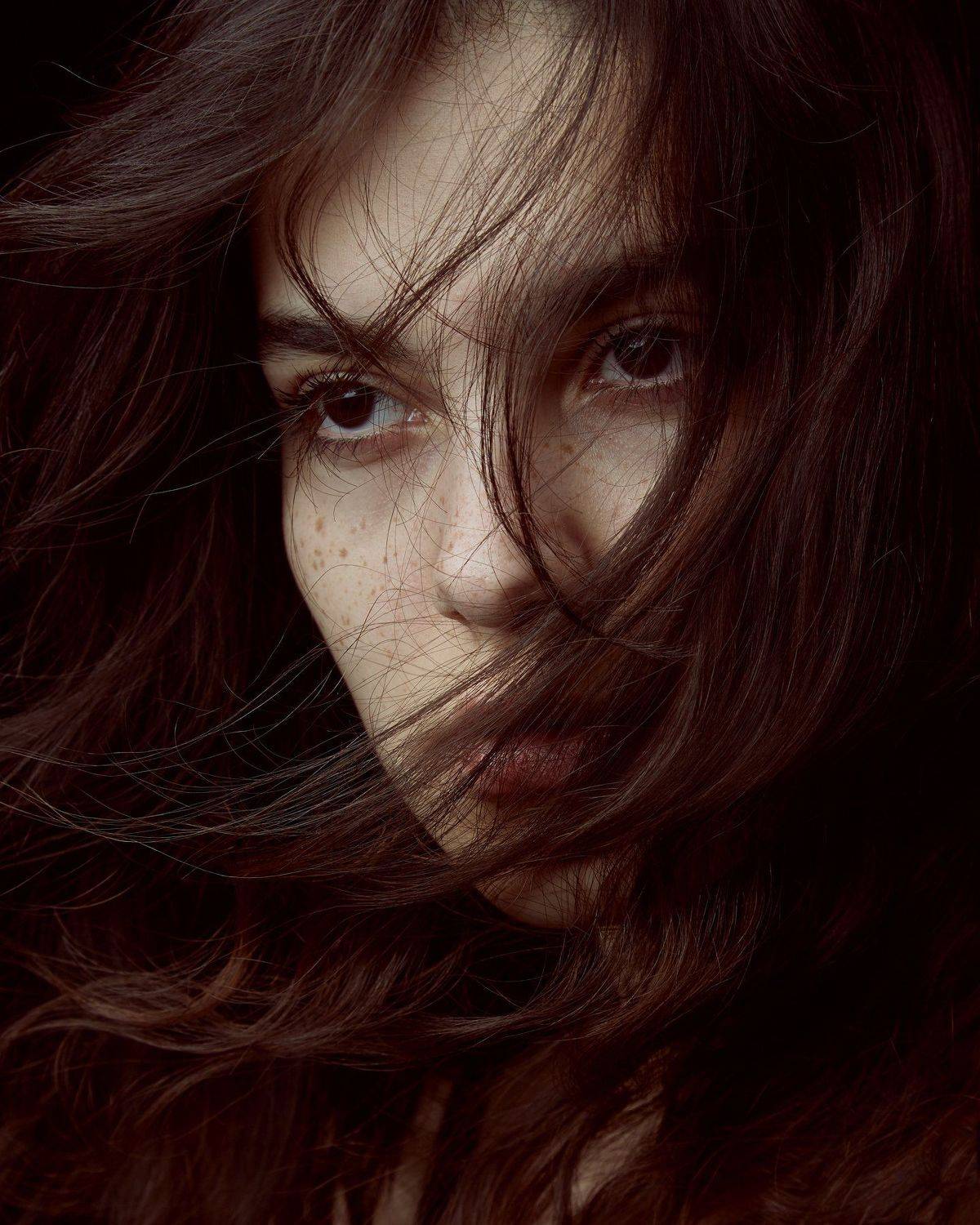 , Hamidreza Sheikhmorteza