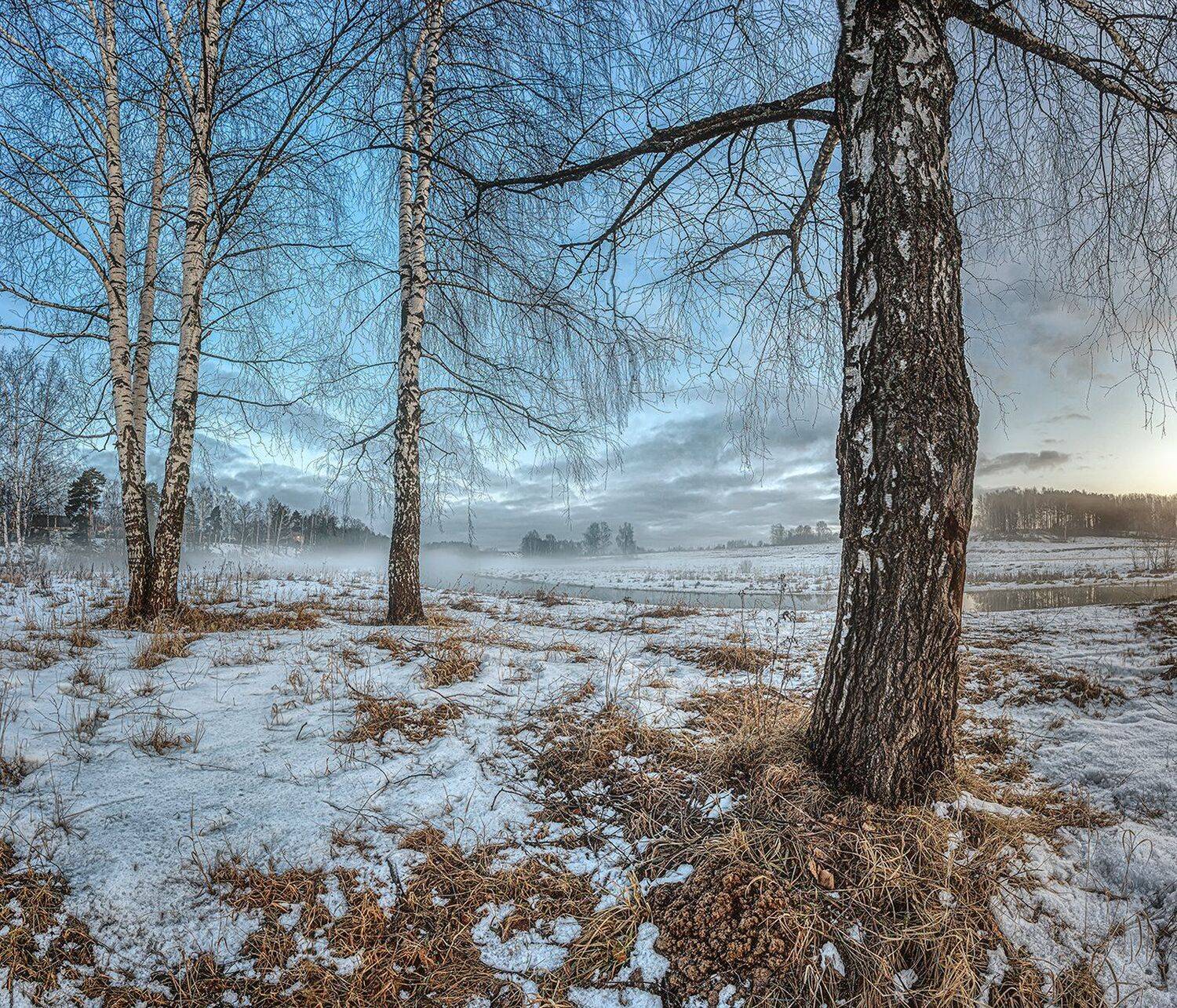 , Николай Андреев