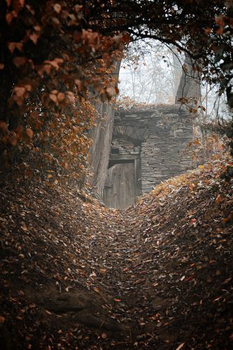 Wine cellar