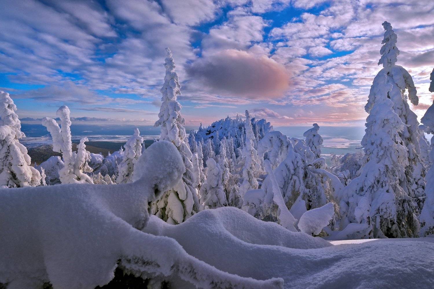 , Клековкин Алексей