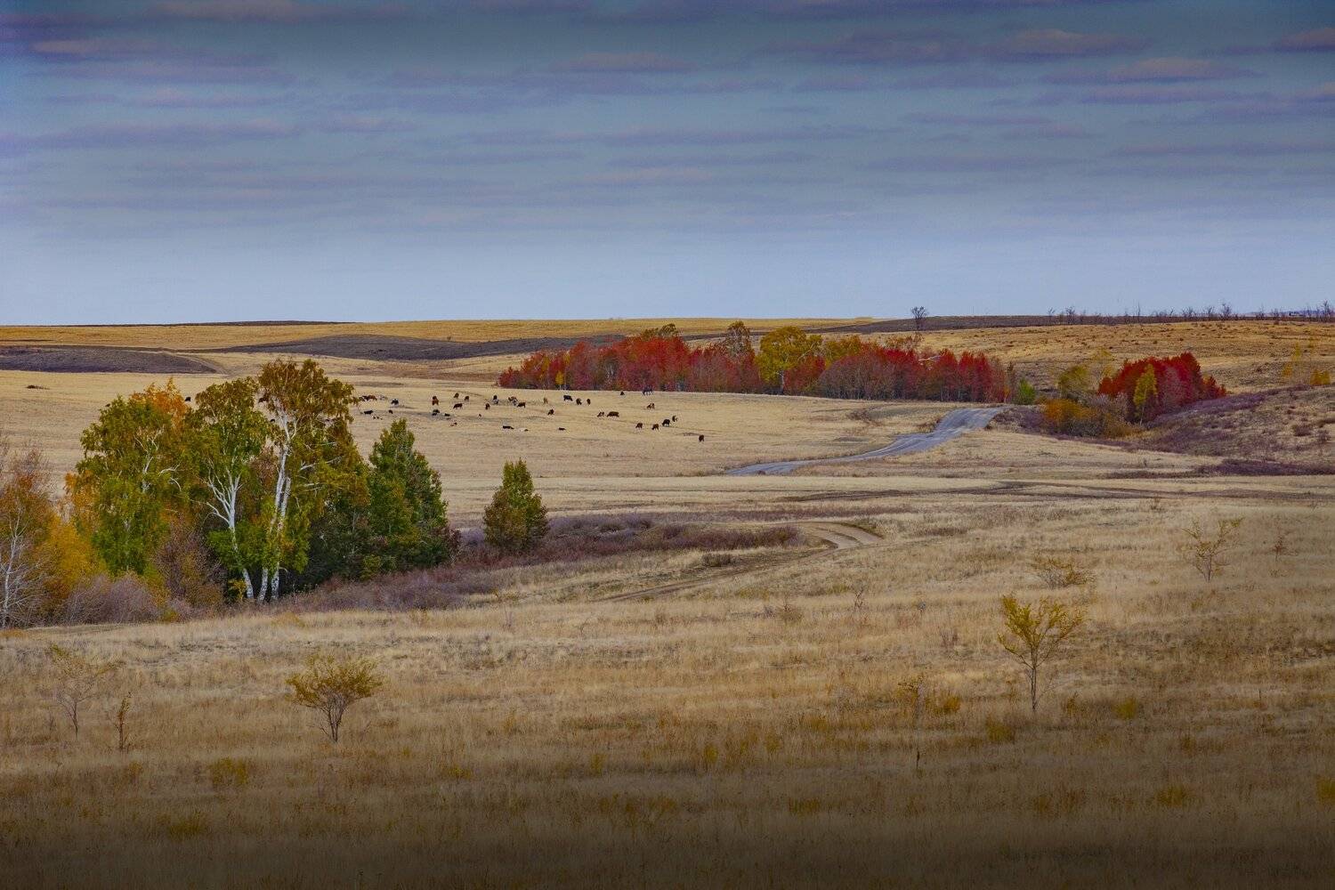 Белаглинка, петр чиков