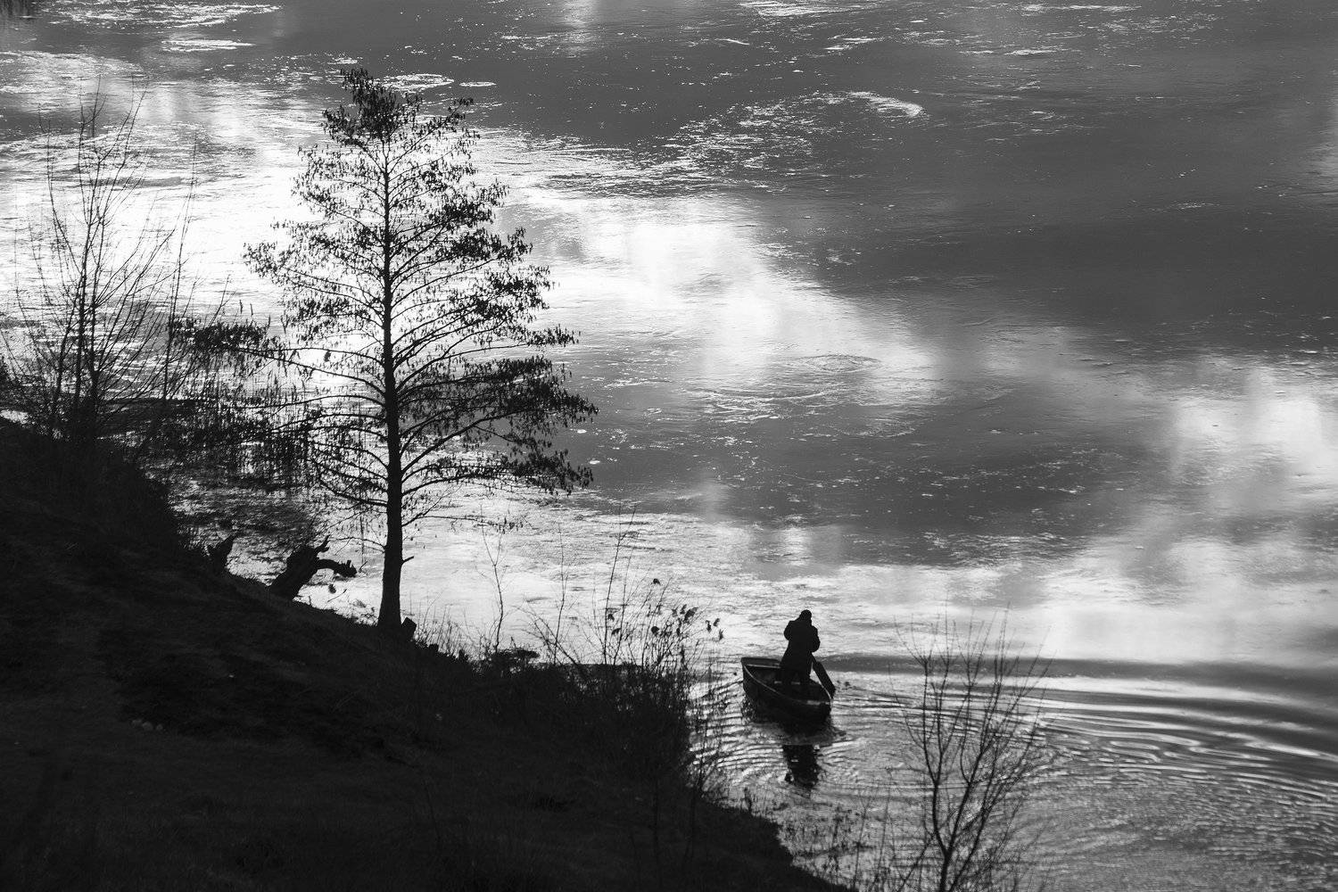 , Дмитрий Новоселов