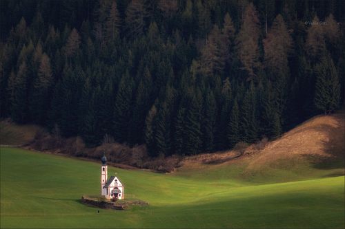 На поляне у опушки...