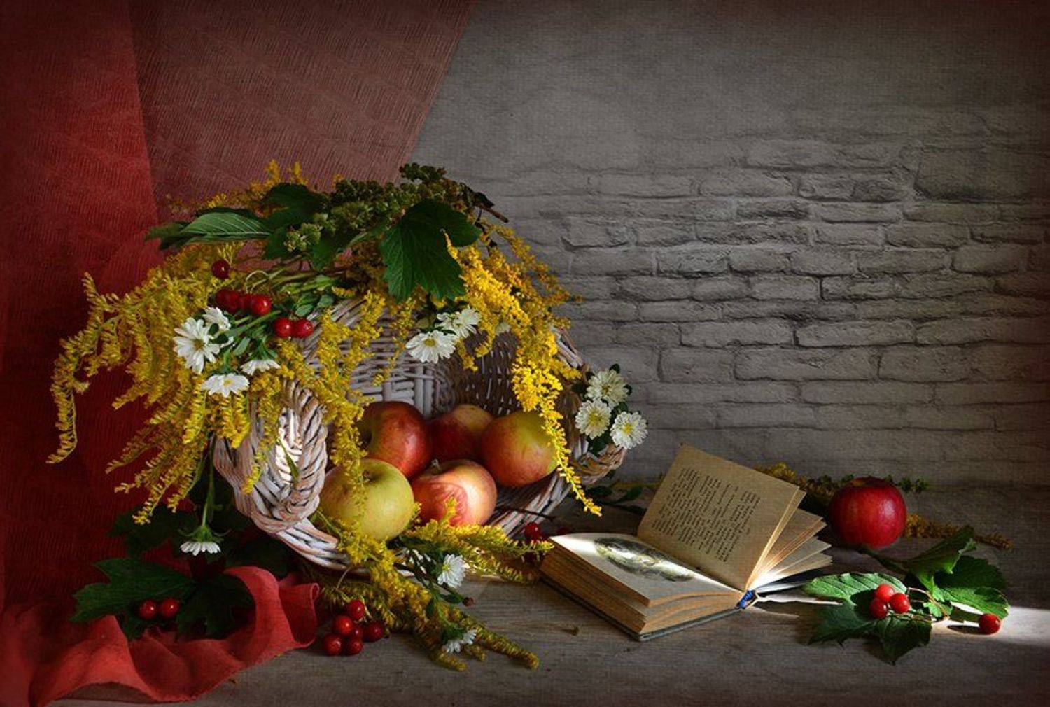 , Eлена Шовкопляс