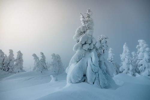 На границе дня и ночи