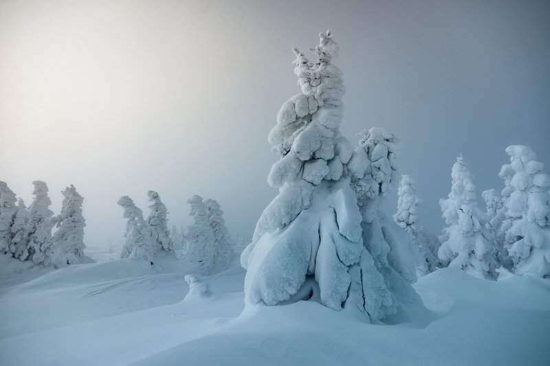 На границе дня и ночи фото превью