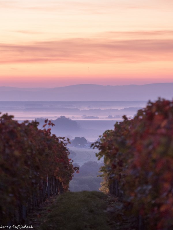 I walk around Moravia фото превью
