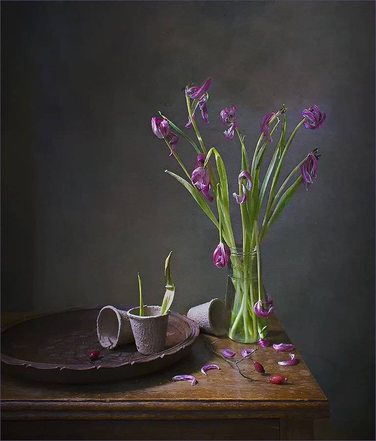 , Stein Georg